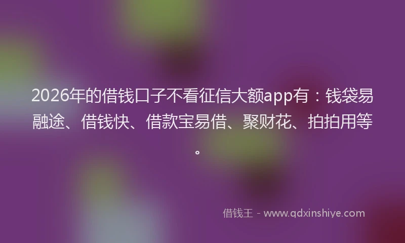 2026年的借钱口子不看征信大额app有：钱袋易融途、借钱快、借款宝易借、聚财花、拍拍用等。