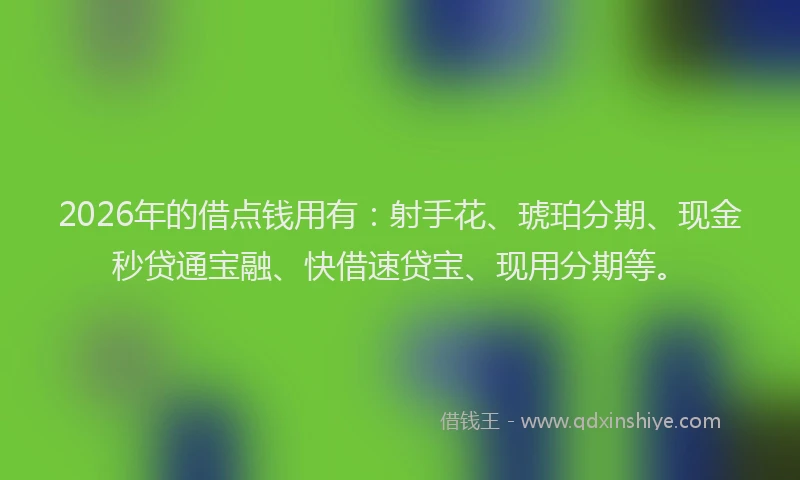 2026年的借点钱用有：射手花、琥珀分期、现金秒贷通宝融、快借速贷宝、现用分期等。