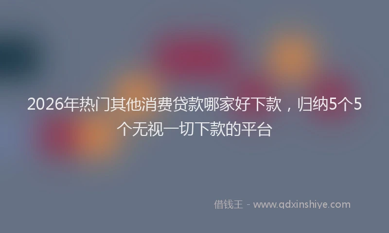 2026年热门其他消费贷款哪家好下款，归纳5个5个无视一切下款的平台