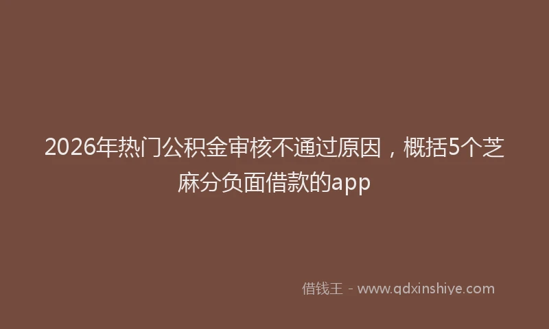 2026年热门公积金审核不通过原因，概括5个芝麻分负面借款的app