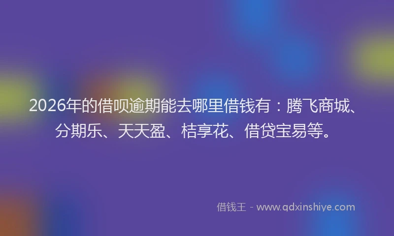 2026年的借呗逾期能去哪里借钱有：腾飞商城、分期乐、天天盈、桔享花、借贷宝易等。