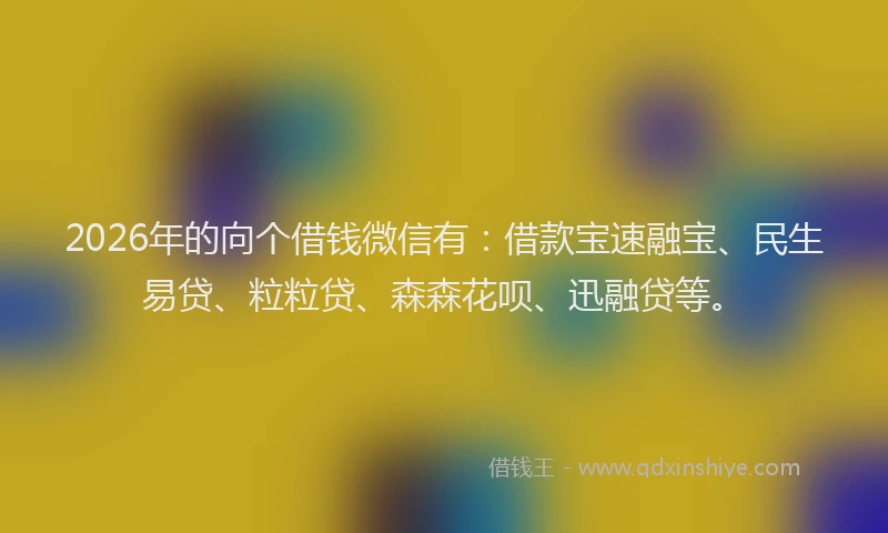 2026年的向个借钱微信有：借款宝速融宝、民生易贷、粒粒贷、森森花呗、迅融贷等。