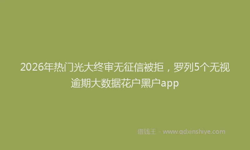 2026年热门光大终审无征信被拒，罗列5个无视逾期大数据花户黑户app