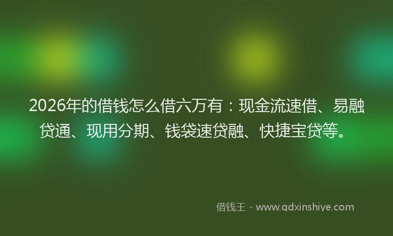 2026年的借钱怎么借六万有：现金流速借、易融贷通、现用分期、钱袋速贷融、快捷宝贷等。
