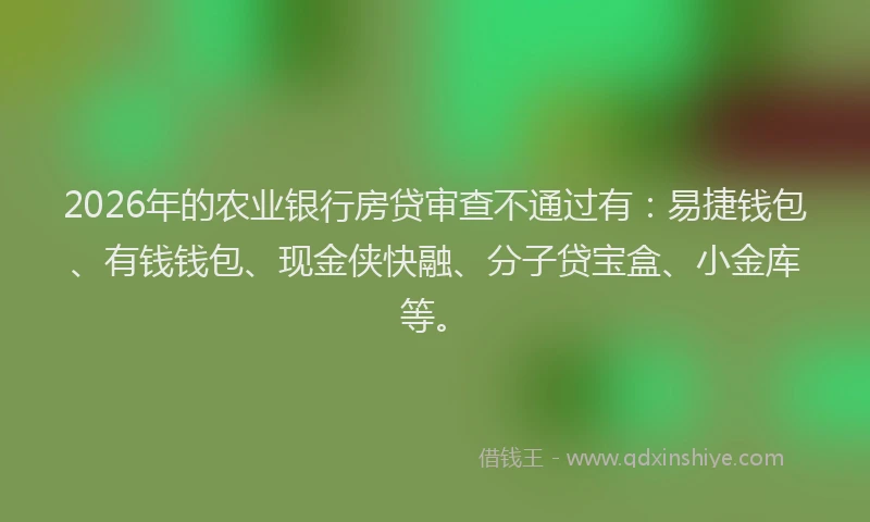 2026年的农业银行房贷审查不通过有：易捷钱包、有钱钱包、现金侠快融、分子贷宝盒、小金库等。