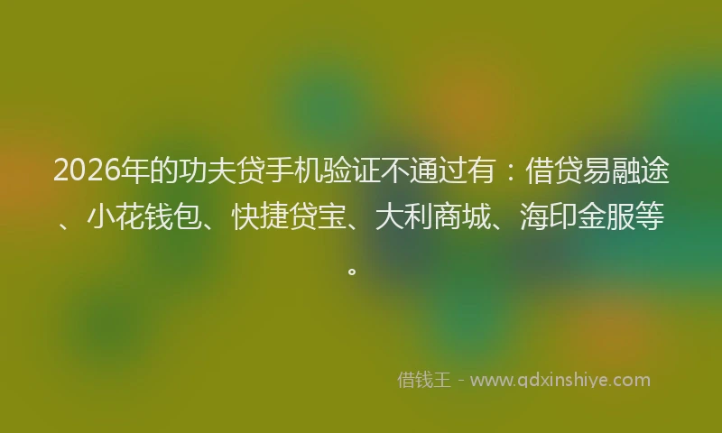 2026年的功夫贷手机验证不通过有：借贷易融途、小花钱包、快捷贷宝、大利商城、海印金服等。
