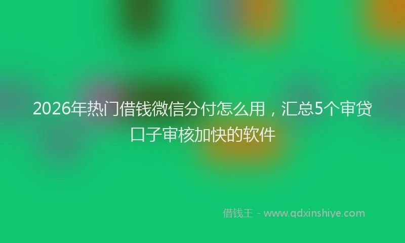 2026年热门借钱微信分付怎么用，汇总5个审贷口子审核加快的软件