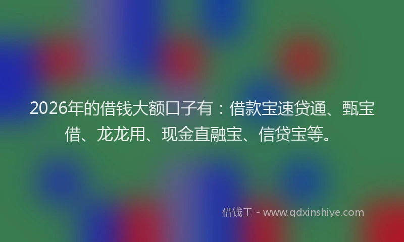 2026年的借钱大额口子有：借款宝速贷通、甄宝借、龙龙用、现金直融宝、信贷宝等。
