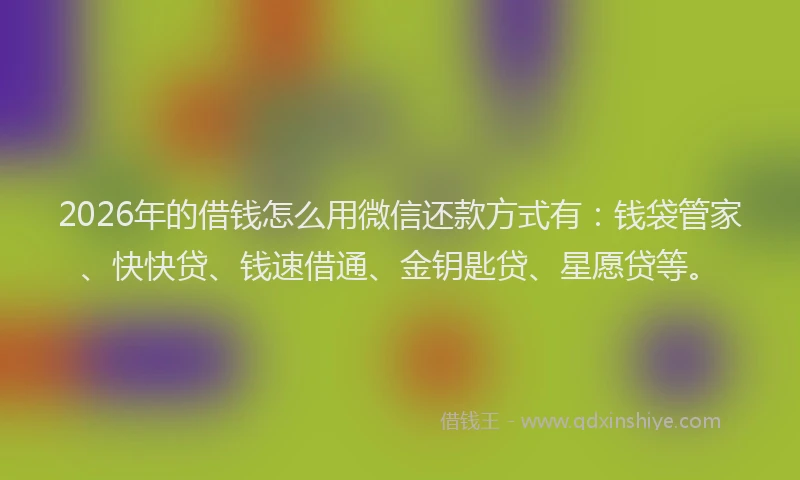 2026年的借钱怎么用微信还款方式有：钱袋管家、快快贷、钱速借通、金钥匙贷、星愿贷等。