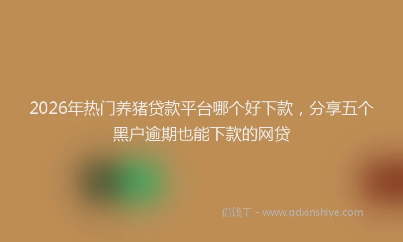 2026年热门养猪贷款平台哪个好下款，分享五个黑户逾期也能下款的网贷