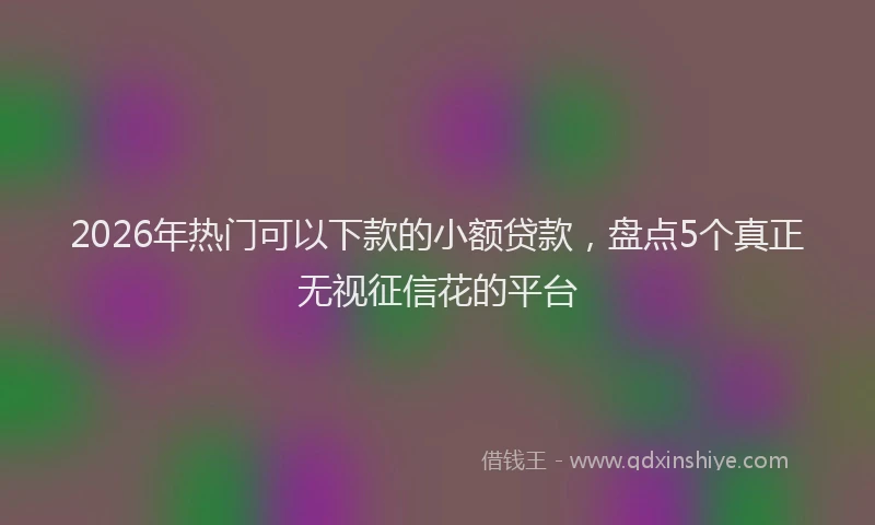 2026年热门可以下款的小额贷款，盘点5个真正无视征信花的平台