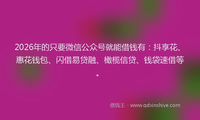 2026年的只要微信公众号就能借钱有：抖享花、惠花钱包、闪借易贷融、橄榄信贷、钱袋速借等。