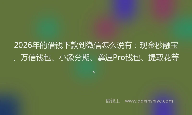 2026年的借钱下款到微信怎么说有：现金秒融宝、万信钱包、小象分期、鑫速Pro钱包、提取花等。
