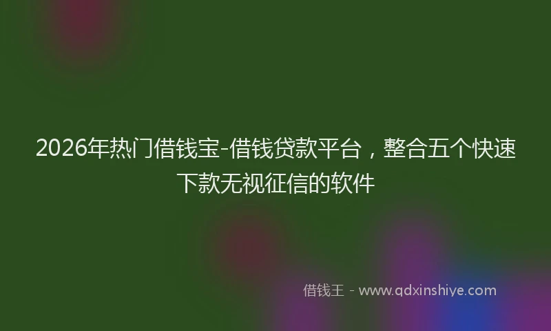 2026年热门借钱宝-借钱贷款平台，整合五个快速下款无视征信的软件