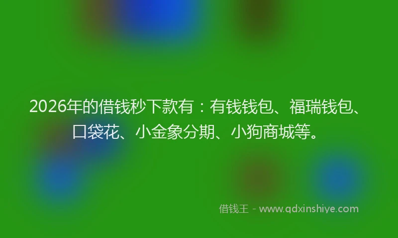 2026年的借钱秒下款有：有钱钱包、福瑞钱包、口袋花、小金象分期、小狗商城等。