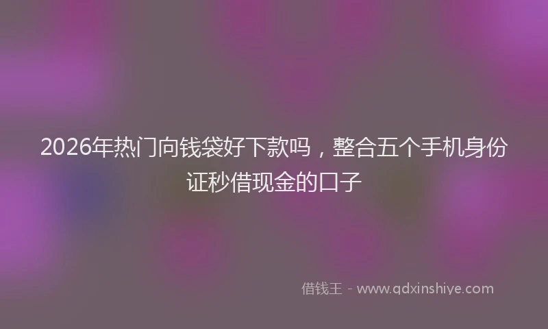2026年热门向钱袋好下款吗，整合五个手机身份证秒借现金的口子