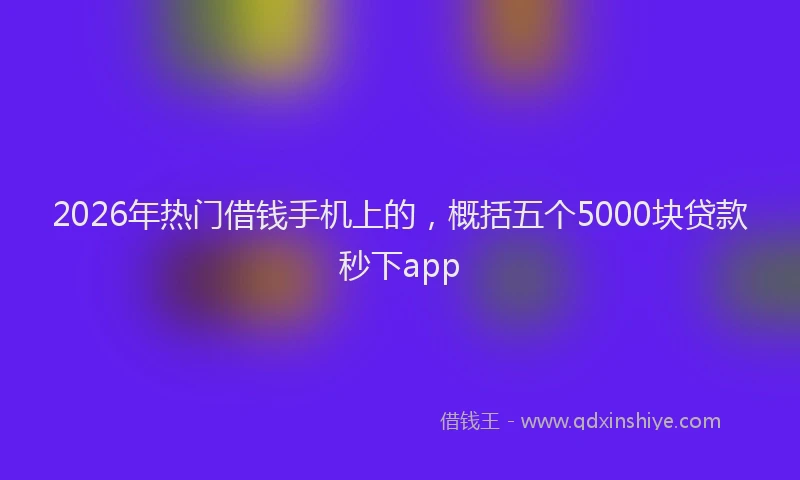 2026年热门借钱手机上的，概括五个5000块贷款秒下app