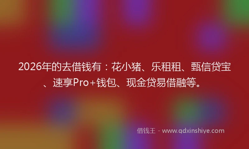 2026年的去借钱有：花小猪、乐租租、甄信贷宝、速享Pro+钱包、现金贷易借融等。