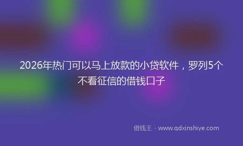 2026年热门可以马上放款的小贷软件，罗列5个不看征信的借钱口子