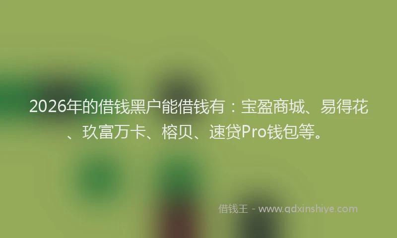 2026年的借钱黑户能借钱有：宝盈商城、易得花、玖富万卡、榕贝、速贷Pro钱包等。