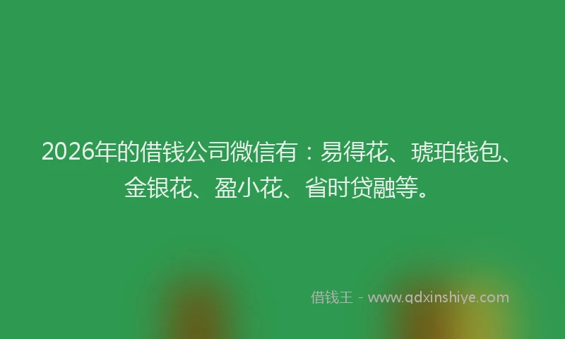 2026年的借钱公司微信有：易得花、琥珀钱包、金银花、盈小花、省时贷融等。