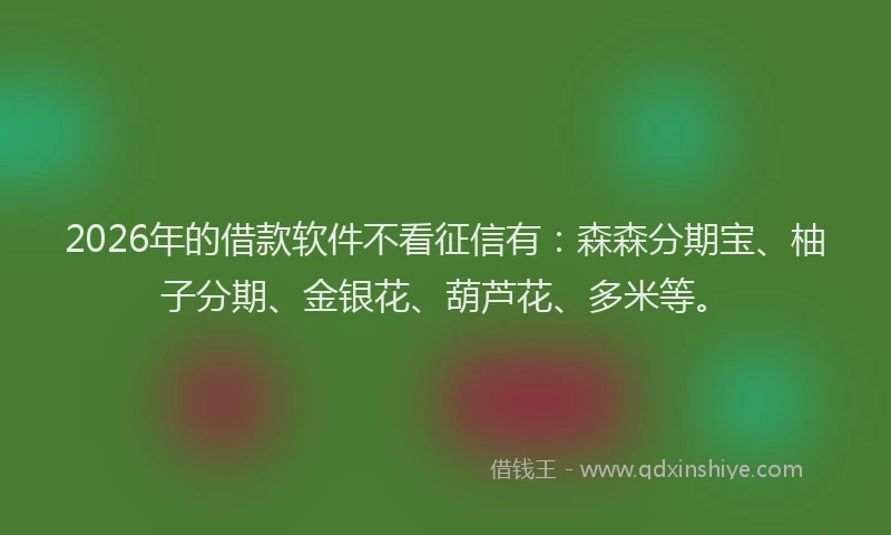 2026年的借款软件不看征信有：森森分期宝、柚子分期、金银花、葫芦花、多米等。