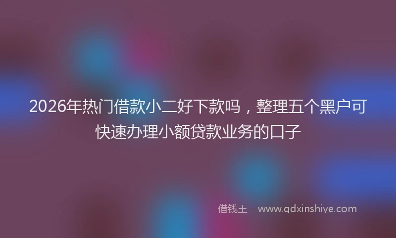 2026年热门借款小二好下款吗，整理五个黑户可快速办理小额贷款业务的口子