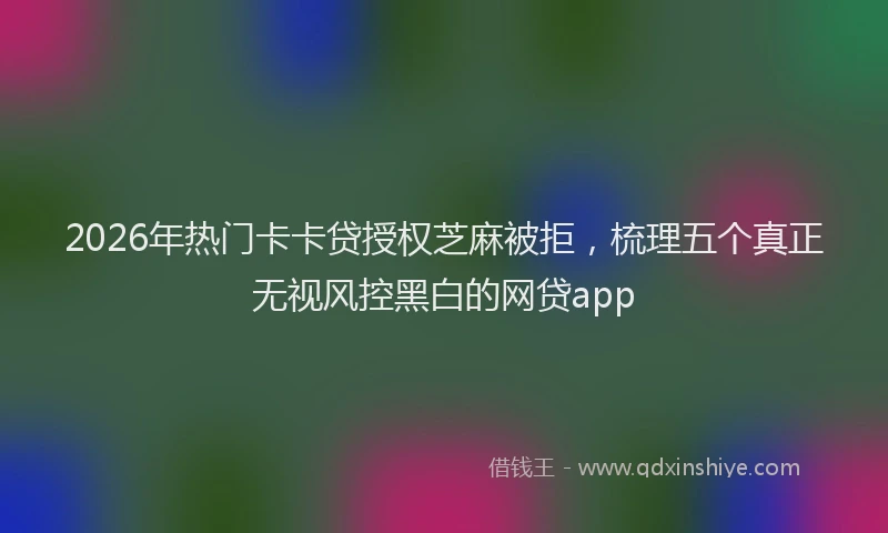2026年热门卡卡贷授权芝麻被拒，梳理五个真正无视风控黑白的网贷app
