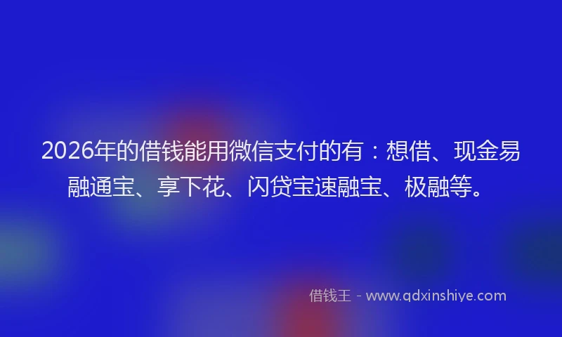 2026年的借钱能用微信支付的有：想借、现金易融通宝、享下花、闪贷宝速融宝、极融等。