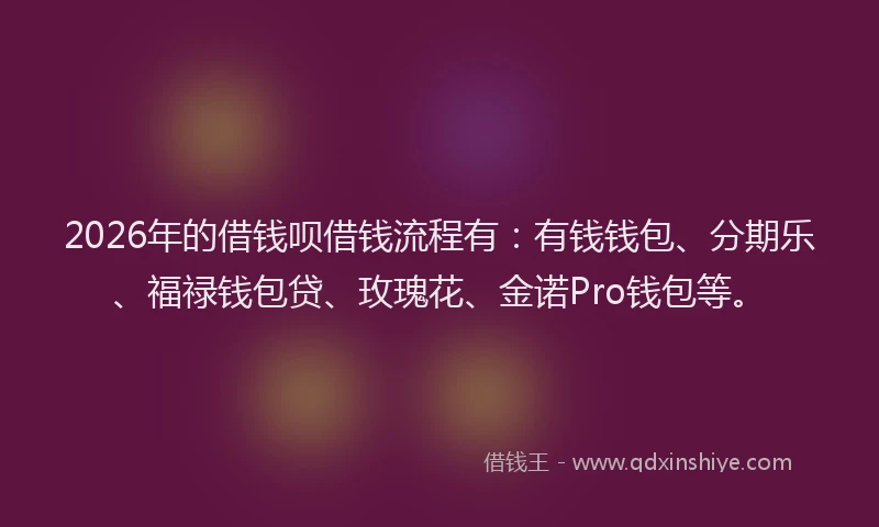 2026年的借钱呗借钱流程有：有钱钱包、分期乐、福禄钱包贷、玫瑰花、金诺Pro钱包等。
