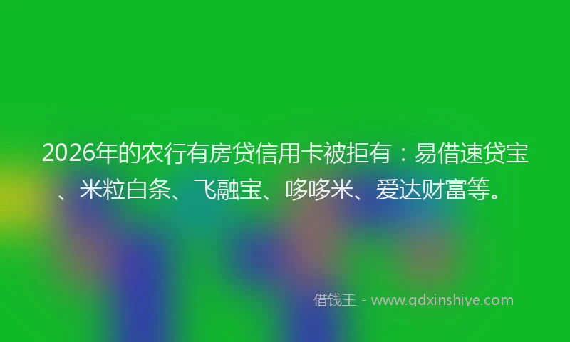 2026年的农行有房贷信用卡被拒有：易借速贷宝、米粒白条、飞融宝、哆哆米、爱达财富等。