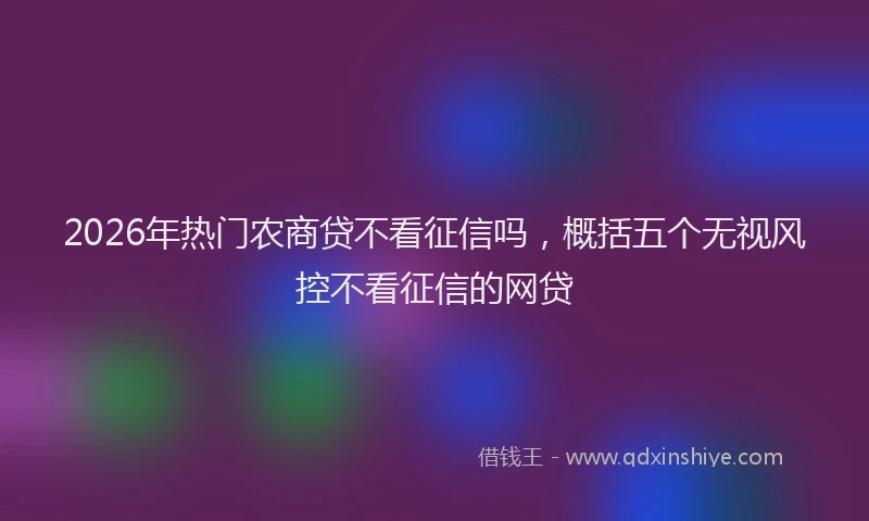 2026年热门农商贷不看征信吗，概括五个无视风控不看征信的网贷