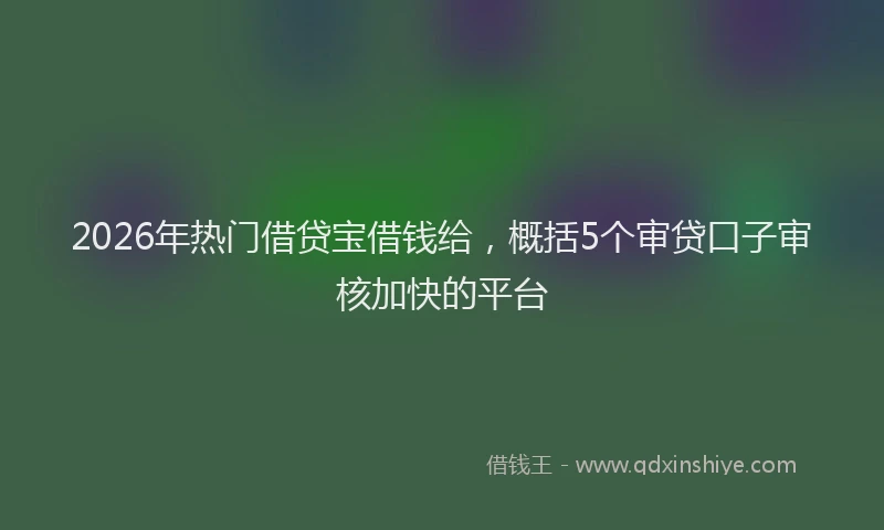 2026年热门借贷宝借钱给，概括5个审贷口子审核加快的平台