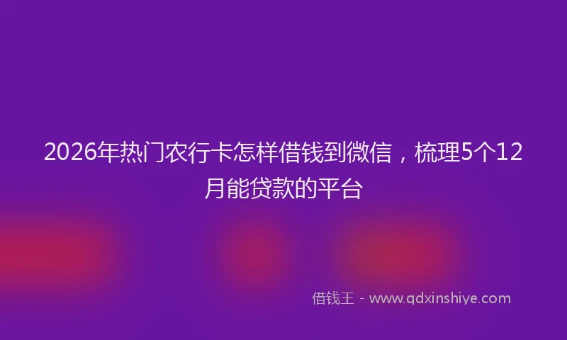 2026年热门农行卡怎样借钱到微信，梳理5个12月能贷款的平台