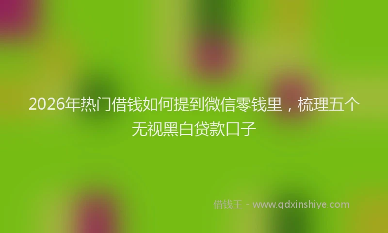2026年热门借钱如何提到微信零钱里，梳理五个无视黑白贷款口子