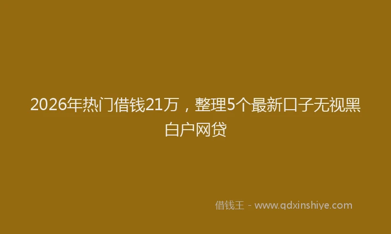 2026年热门借钱21万，整理5个最新口子无视黑白户网贷
