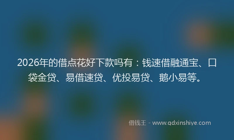 2026年的借点花好下款吗有：钱速借融通宝、口袋金贷、易借速贷、优投易贷、鹅小易等。