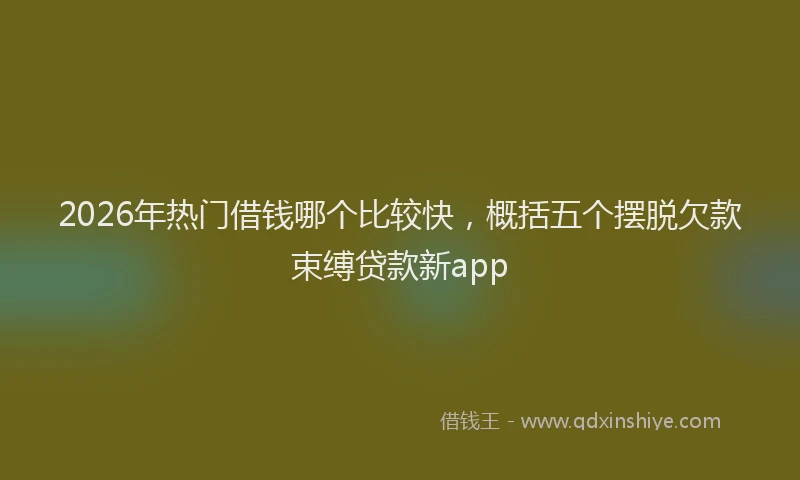2026年热门借钱哪个比较快，概括五个摆脱欠款束缚贷款新app