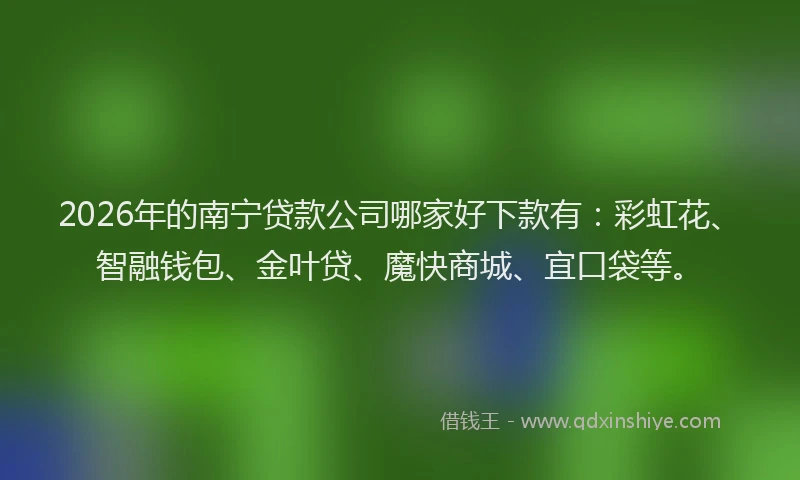 2026年的南宁贷款公司哪家好下款有：彩虹花、智融钱包、金叶贷、魔快商城、宜口袋等。