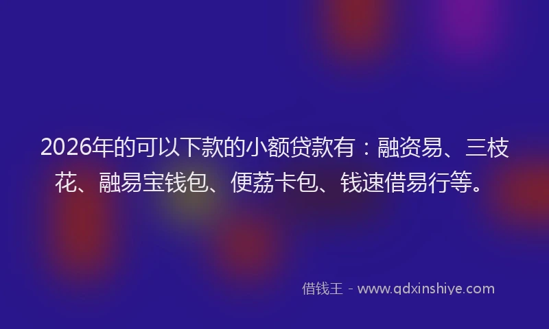 2026年的可以下款的小额贷款有：融资易、三枝花、融易宝钱包、便荔卡包、钱速借易行等。