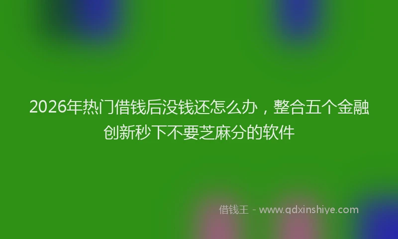 2026年热门借钱后没钱还怎么办，整合五个金融创新秒下不要芝麻分的软件