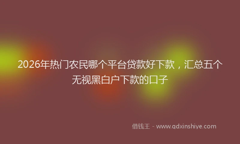 2026年热门农民哪个平台贷款好下款，汇总五个无视黑白户下款的口子