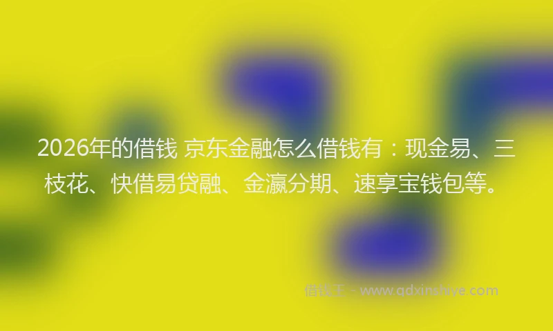 2026年的借钱 京东金融怎么借钱有：现金易、三枝花、快借易贷融、金瀛分期、速享宝钱包等。