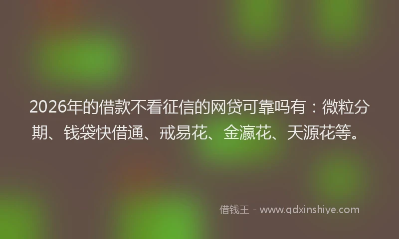 2026年的借款不看征信的网贷可靠吗有：微粒分期、钱袋快借通、戒易花、金瀛花、天源花等。