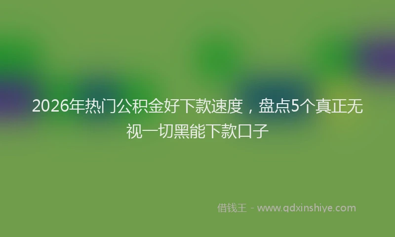2026年热门公积金好下款速度，盘点5个真正无视一切黑能下款口子