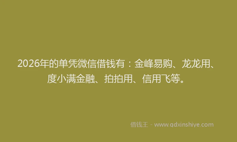 2026年的单凭微信借钱有：金峰易购、龙龙用、度小满金融、拍拍用、信用飞等。