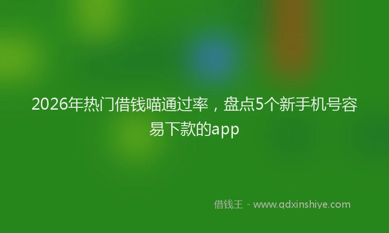 2026年热门借钱喵通过率，盘点5个新手机号容易下款的app