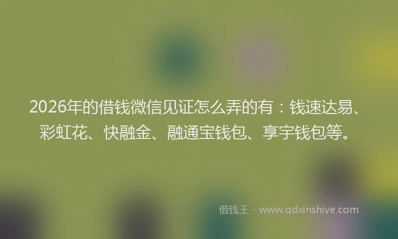2026年的借钱微信见证怎么弄的有：钱速达易、彩虹花、快融金、融通宝钱包、享宇钱包等。