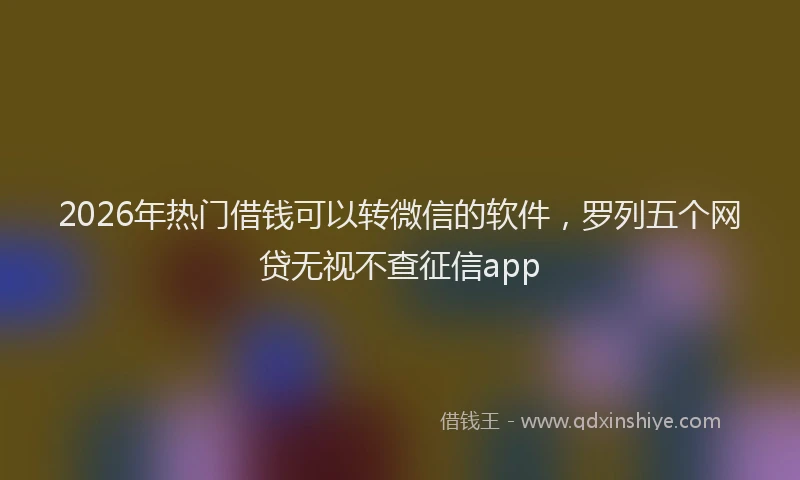 2026年热门借钱可以转微信的软件，罗列五个网贷无视不查征信app