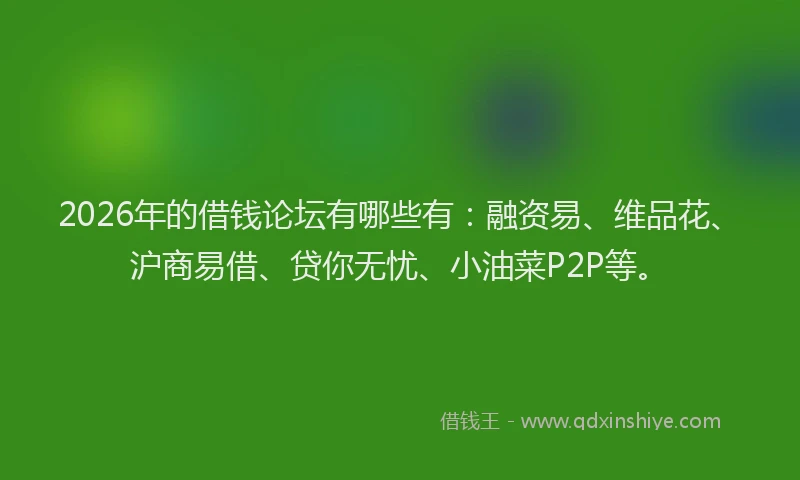 2026年的借钱论坛有哪些有：融资易、维品花、沪商易借、贷你无忧、小油菜P2P等。